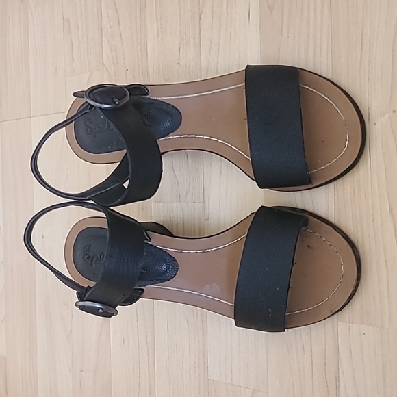 Splendid Black Adam Block Heels Ankle Strap with Buckle Closure Sandals Size 8 M - Picture 3 of 9